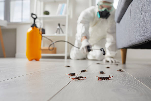 Commercial Kitchen Cockroach Control in Osage City
